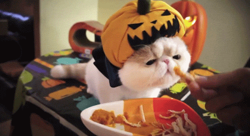 16 Reasons Halloween And Christmas Are Basically The Same Holiday