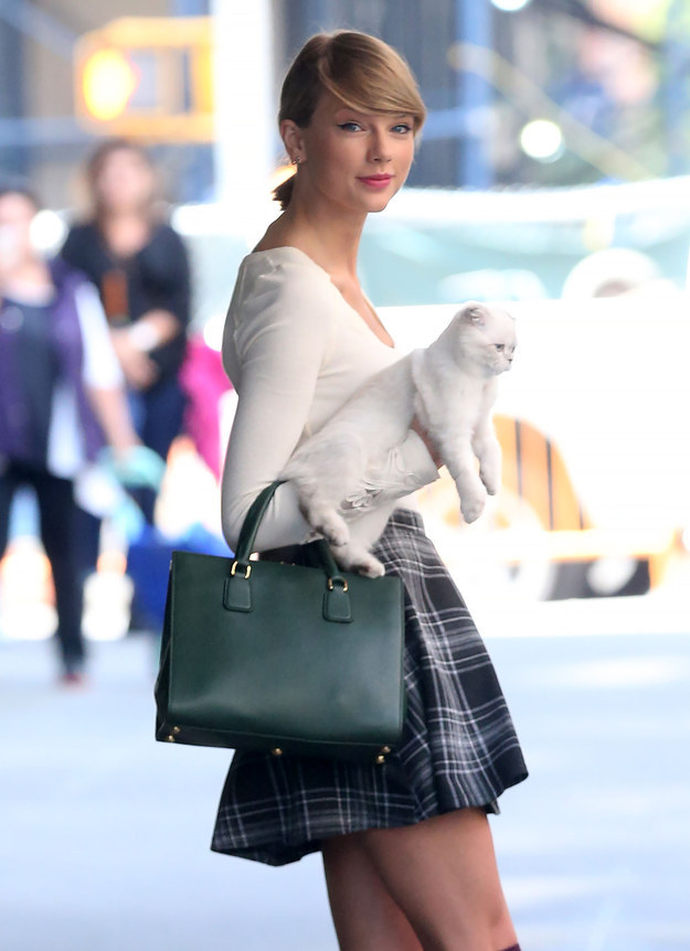 How To Be As Cool As Taylor Swift's Cat