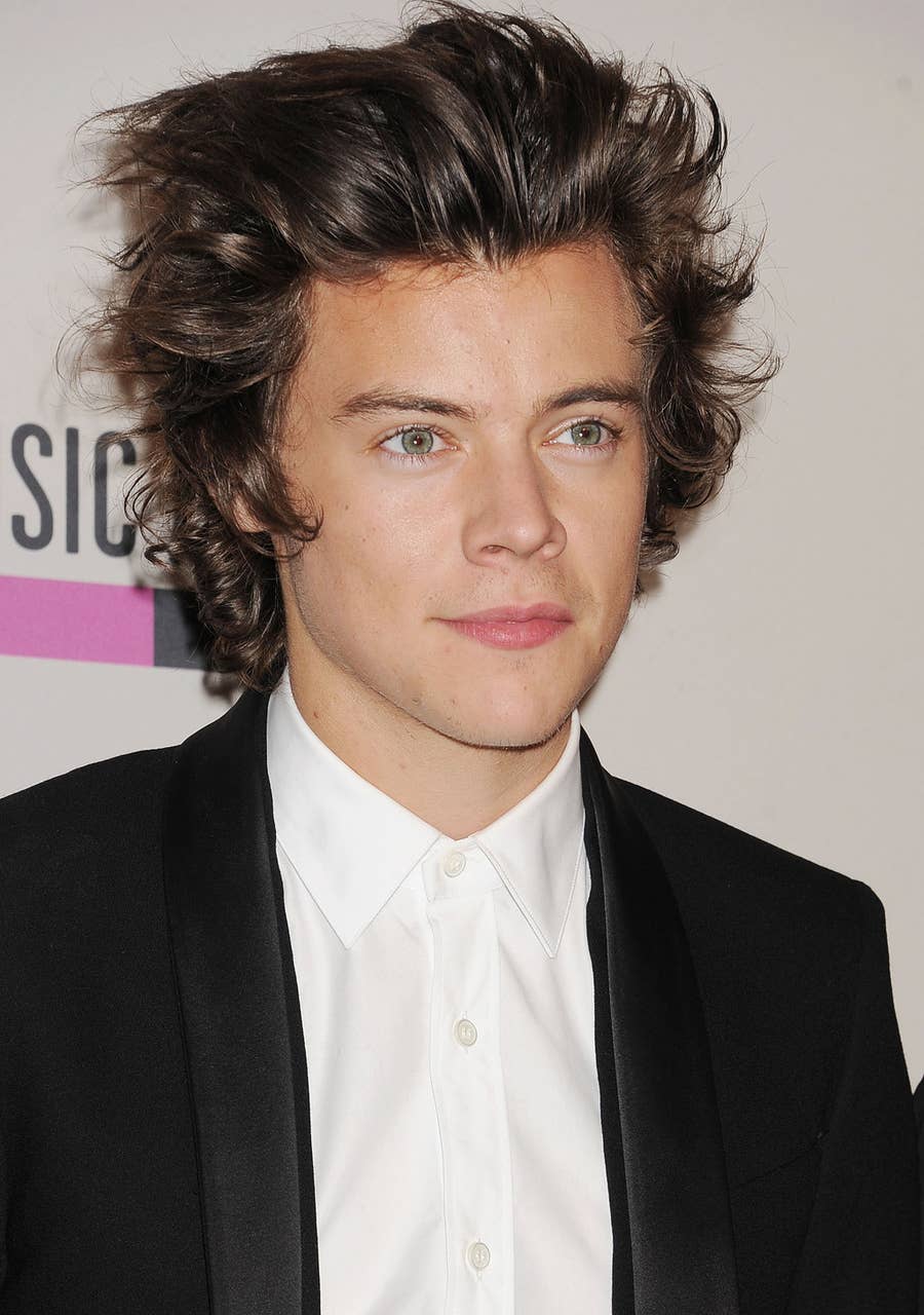 27 Times Harry Styles Hair Cried Out For Help