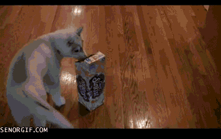 What a perfect head sized box...