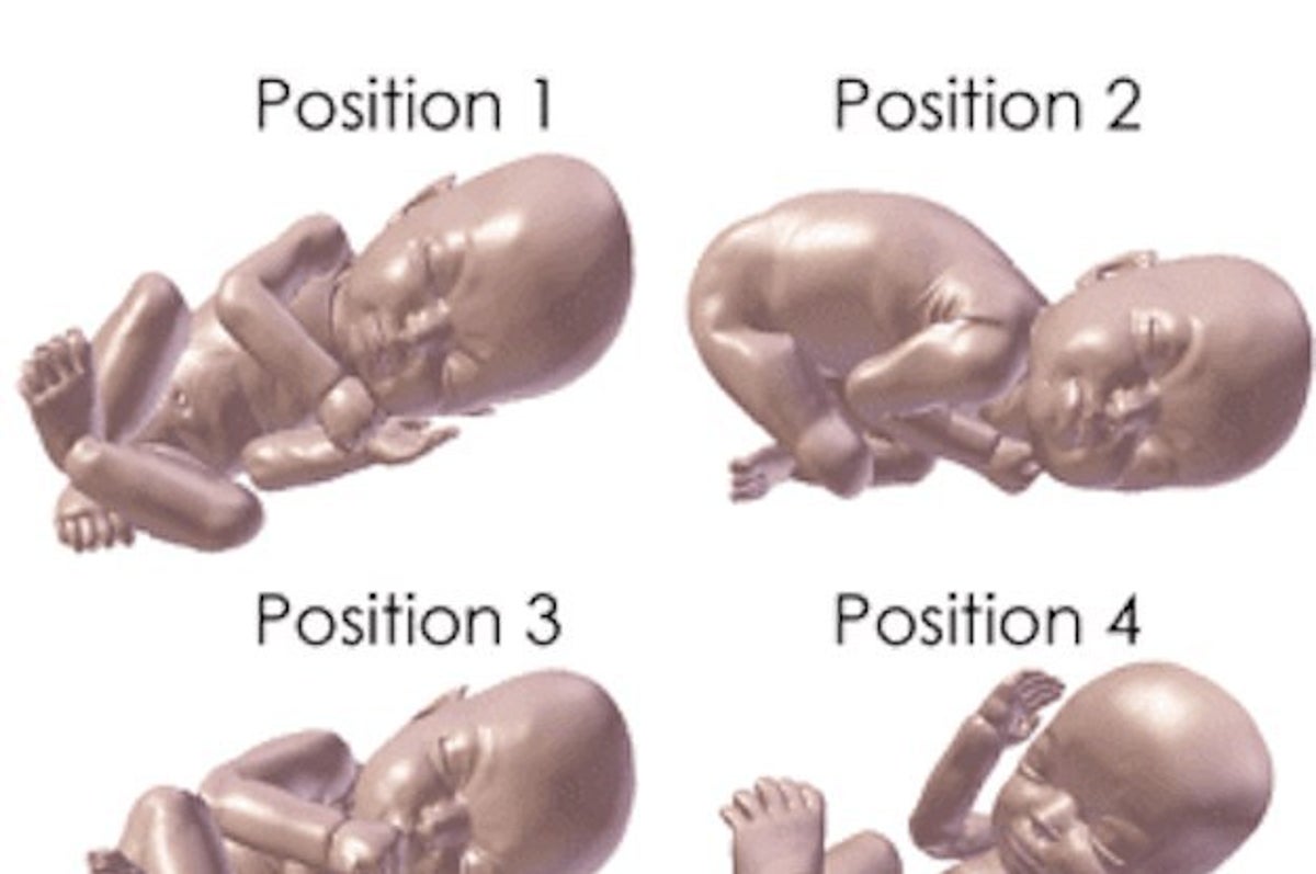 Men In Labor  A New Conception 4D Ultrasound Studio