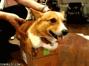 Even though you clearly don't fit...