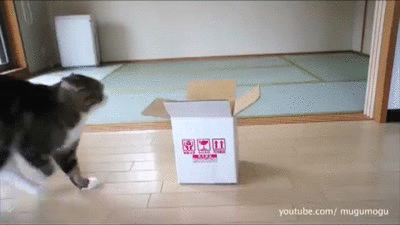 Seriously give it a rest. You'll never fit.