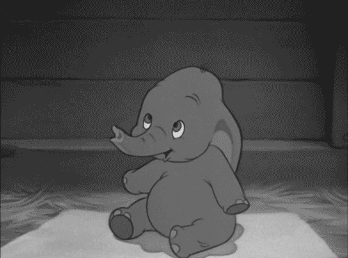 Yay, elephants! They’re the largest land animals in the world, so why on earth WOULDN’T they deserve their own holiday? You can celebrate by chowing down on homemade elephant ears and watching a classic flick like Dumbo, Horton Hears a Who, or Operation Dumbo Drop.