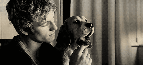 If you’re a poor, unfortunate soul with no pets in your life, you may roll your eyes when you find out there’s a day solely dedicated to celebrating them. But for the rest of us, we’ll gladly welcome any excuse to shower our pets with more adoration on the “official” day. This is a holiday to remember any pets you’ve had, past or present. If you’ve lost one, pay homage to them any way you see fit—pets should never be forgotten.