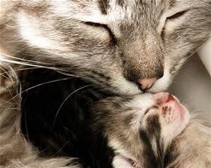 CUTENESS OVERLOAD!!!!!!!!