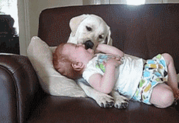 18 Gifs De Bebes Con Perritos Que Mejoraran Tu Dia Por eloise lancasterpublicado el 15/06/2016, actualizado el 02/12/2020. 18 gifs de bebes con perritos que