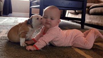 18 Gifs De Bebes Con Perritos Que Mejoraran Tu Dia Pagespublic figuredancerperritos tiernos y bebes. 18 gifs de bebes con perritos que
