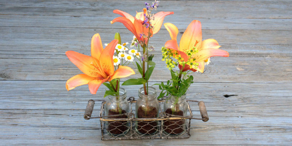 Freshen Your Flower Vases