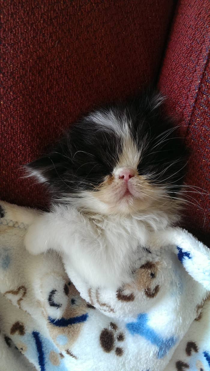 "zzzzzzz......zzzzz.....??"