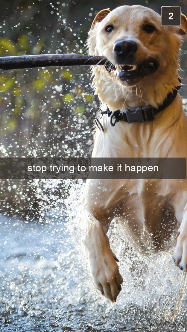 23 Perfect Snapchats For "Mean Girls" Fans