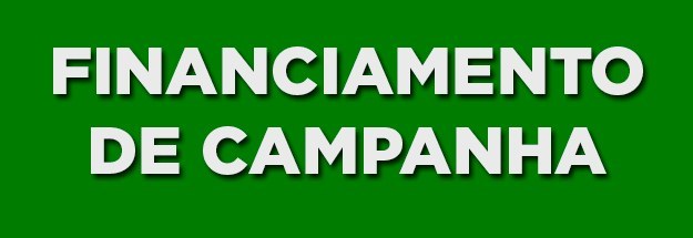 Fim da influência de grandes empresas nos processos eleitorais: Luciana Genro é a favor de leis que coíbam a influência de grandes empresas, indústrias e demais grandes financiadores de campanha sobre os processos eleitorais, tal como sugere a Coalizão Democrática por Eleições Limpas e a Plataforma dos Movimentos Sociais pela Reforma Política citada em seu programa de governo. Ou seja, impedir que o financiamento de campanha seja feito em troca de favores posteriores.