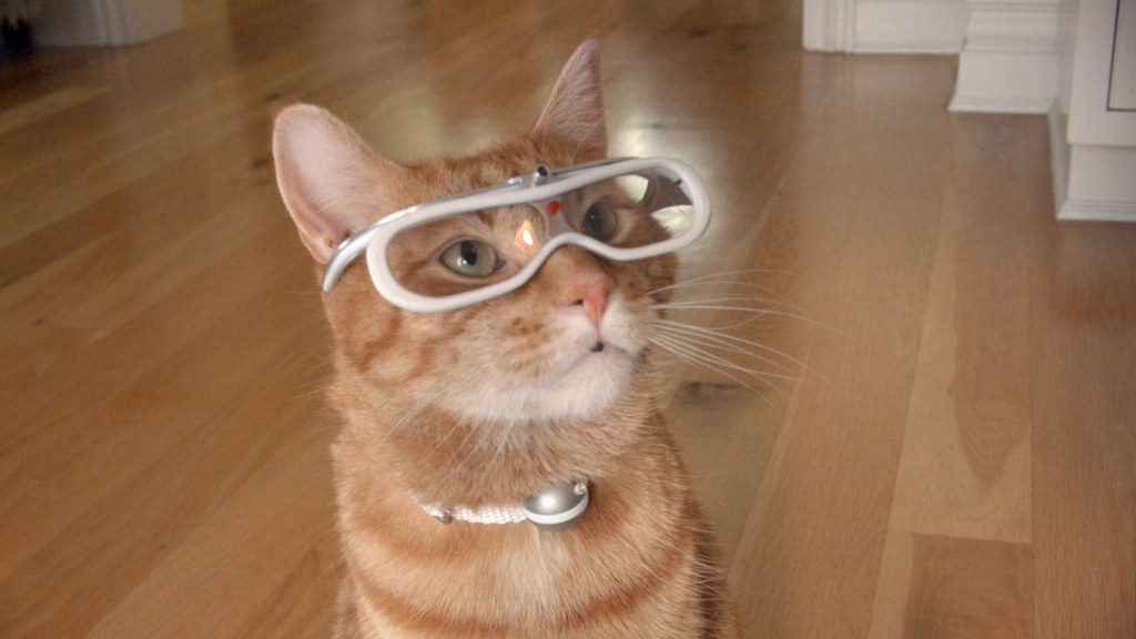 "Hey human friends, want to know what it’s like to be me, the one and only Morris the Cat? Behold the latest emerging trends in eating, napping, sunbathing, playing, and cuddling at Cat’s Eye View. Wearable technology is ameowzing!" --MorrisFollow @MorrisApproved on twitter today!