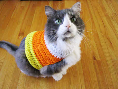 Give a shout out to everyone's favorite Halloween candy with a cute crochet sweater.