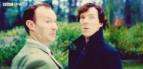 Their dynamic is fantastic. At times, it is difficult to tell if Mycroft is friend or foe; the single clear thing is that he loves his brother deep down. Respect.