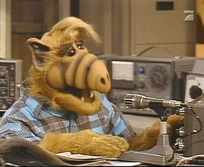 I'm sorry, am I watching ALF or Home Improvement? Is that you, Richard Karn? I don't think so, Tim.