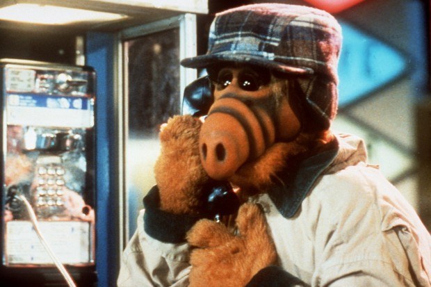 You're not fooling anyone, ALF.