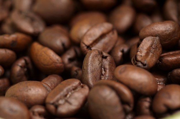 Coffee beans? Yeah! Think of how Exeggcute works with six random eggs, but with coffee beans. Likely Dark-type only.