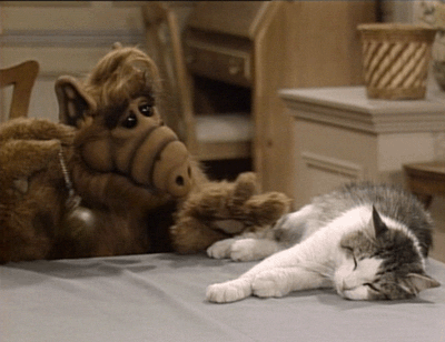 "Das ist ALF. Eine außerirdische Lebensform“. So begann die erste Folge der gleichnamigen Serie. Dann folgten 102 Folgen in denen Gordon Alf Shumway vom Planeten Melmac sich in Lynn Tanner verliebte, Katzen essen wollte und sich vor der Nachbarin Raquel Ochmonek verstecken musste.