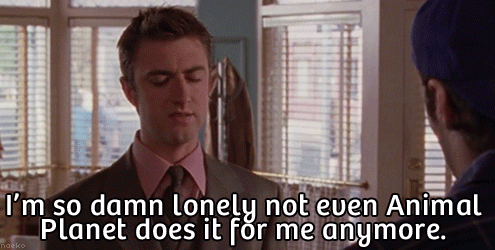 And now I have no one.