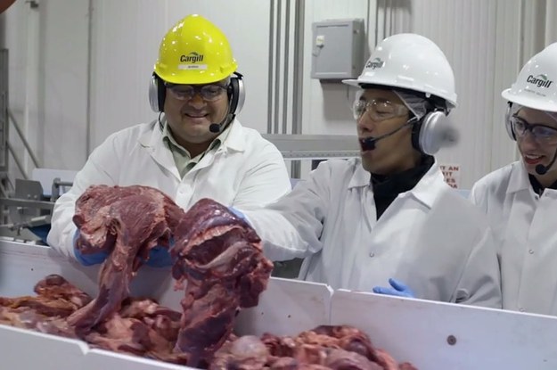 Have You Ever Wondered How A Mcdonald S Hamburger Patty Gets Made