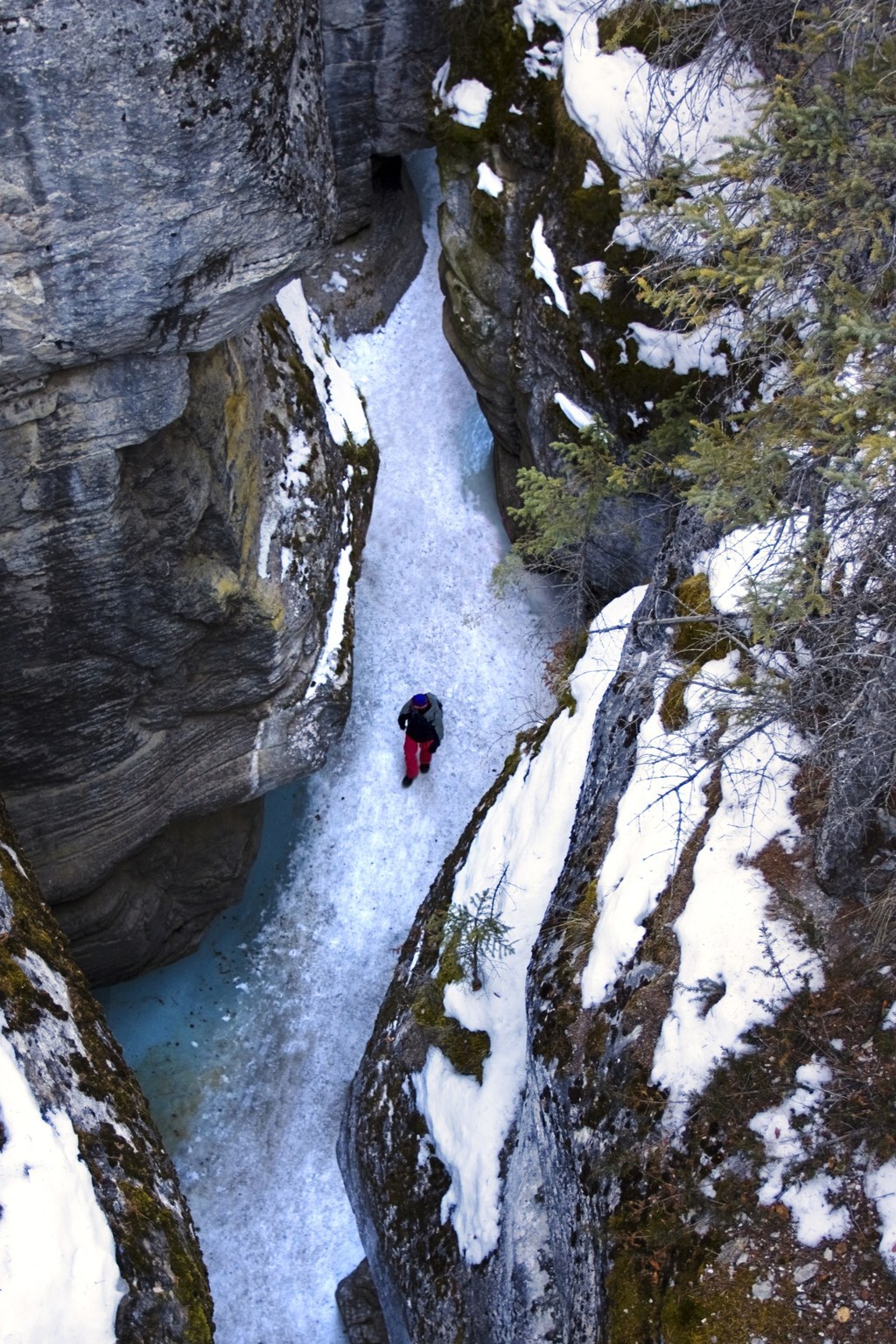 Want to hit the ice without testing your fear of heights? Meander through Johnston, Grotto, or Maligne Canyon on a guided tour, and take in the stunning frozen waterfalls from below.