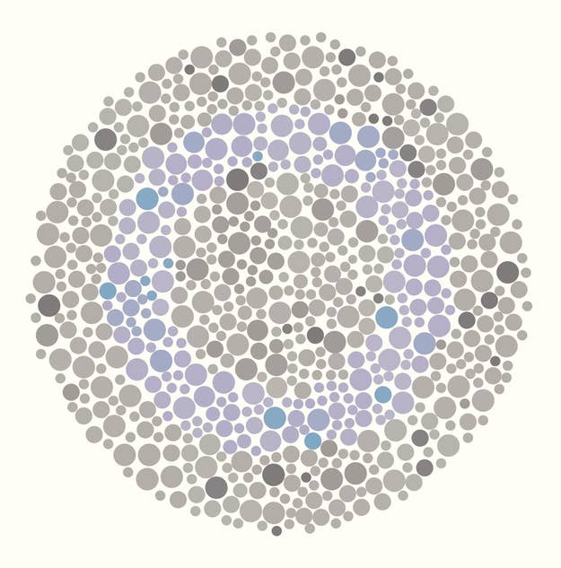 Am I color blind? Do you guys think i should return the fast and