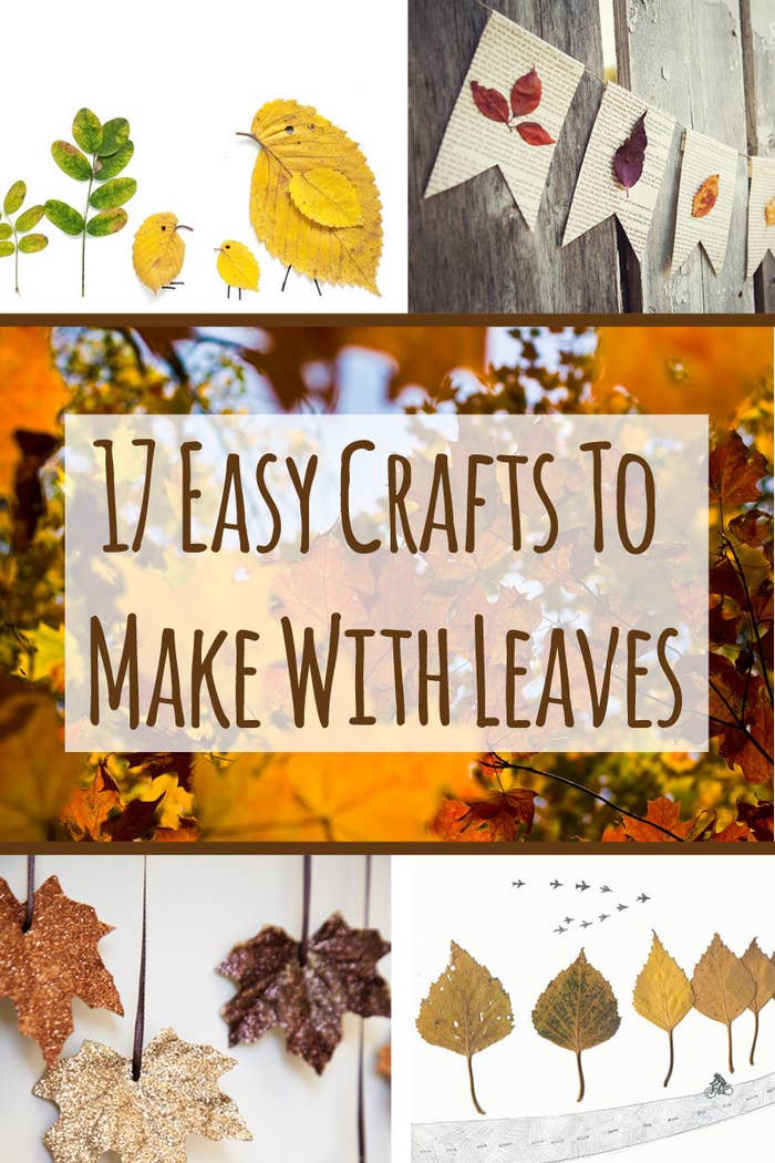 How to Dry Leaves for Crafts  How to dry the leaves of different plants  yourself 