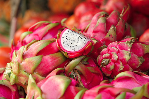 How could a fruit named after dragons not be cool?