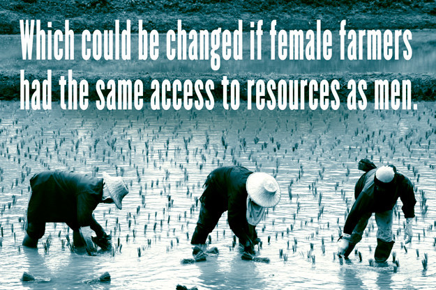If women were given these resources, the number of hungry people in the world could be reduced to 150 million.