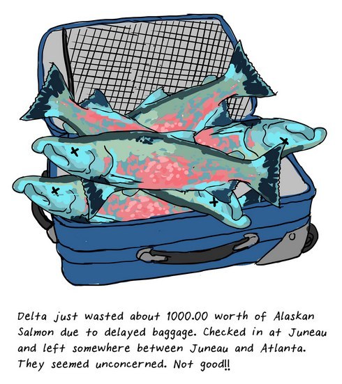 You mean to tell me you brought at least one suitcase (literally packed to the gills) with a large quantity of dead fish on a domestic flight from Alaska to Atlanta? If I were working at the baggage claim in Atlanta I would be VERY concerned when that finally arrived.