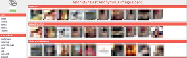 AnonIB, message board where nude celebrity pics first 