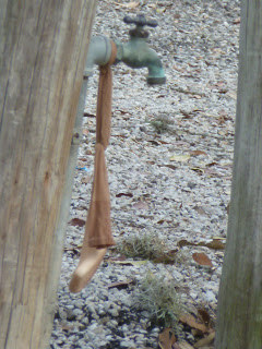 Bar of soap in pantyhose tied to a spigot at a campsite