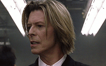 Image result for david bowie gifs