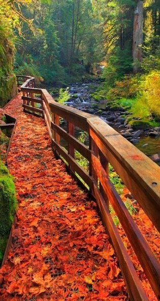 Hike through all of Fall's awesomeness.