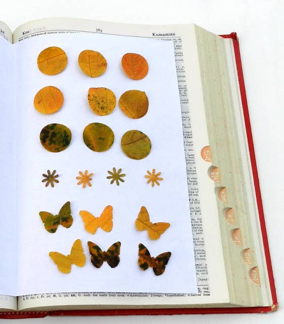 If you have large paper punches, create confetti out of different colored leaves. The unique texture and coloration of each piece makes for a beautiful effect.