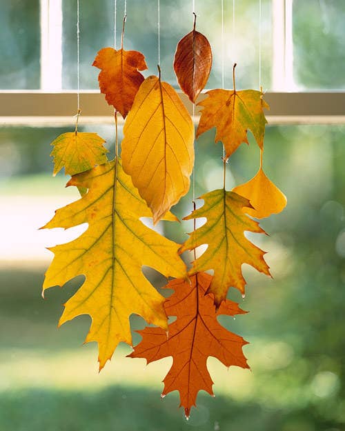 Bring the outdoors indoors with these hanging leaves. If you dip the leaves in wax, they'll last all fall.