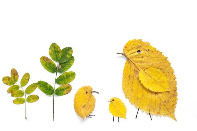 All you need for these leaf animals are leaves, a marker, and plenty of imagination.