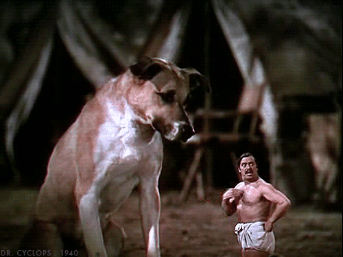 Basic Plot: Peruvian jungle + Mad scientist + Miniaturization = Dr. Cyclops.Fun Fact: This film was nominated for Best Visual/Special Effects at the Academy Awards.