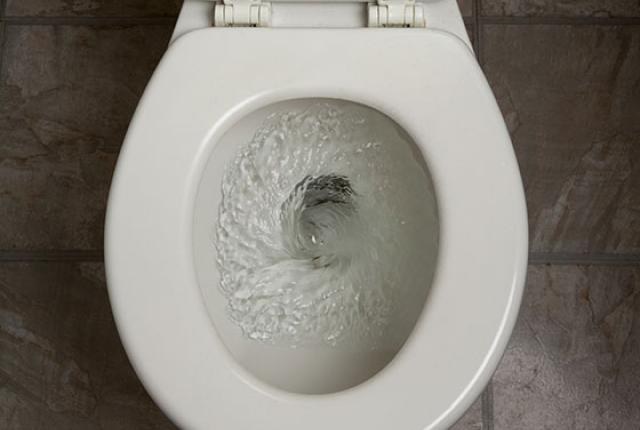 I’m all about saving water, but I am not about having to clean the toilets becuase there is not enough water in them to get everything down.