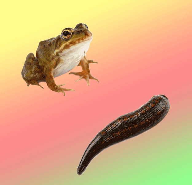 After getting lost near the Tanami Desert in Australia, Ricky Megee spent three months living in the Outback before he was discovered and rescued by farm workers. He survived on insects, raw leeches, and frogs, which he attempted to dry in the sun.