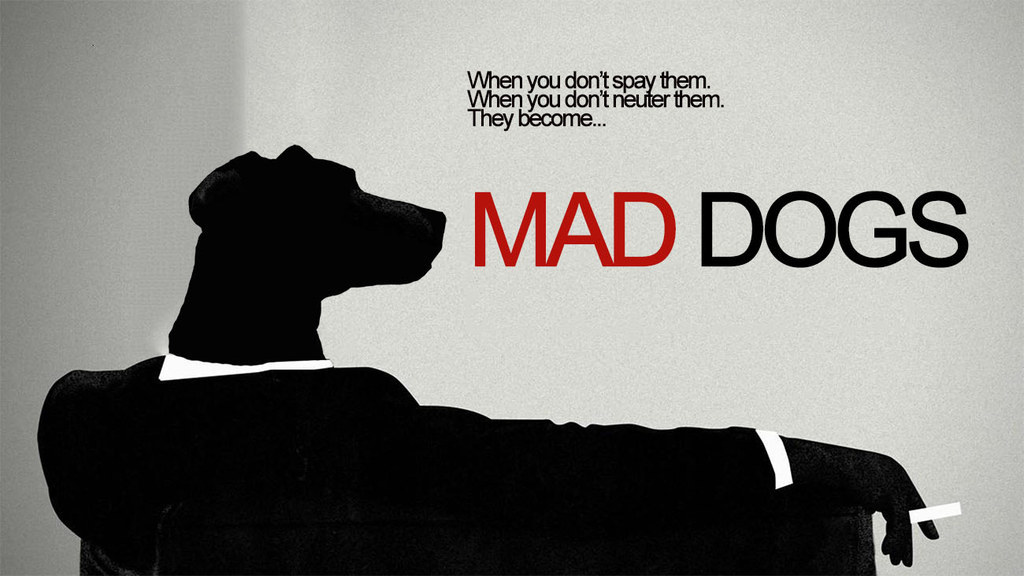 Every unneutered dog thinks he’s a real “Don Draper” with the ladies.