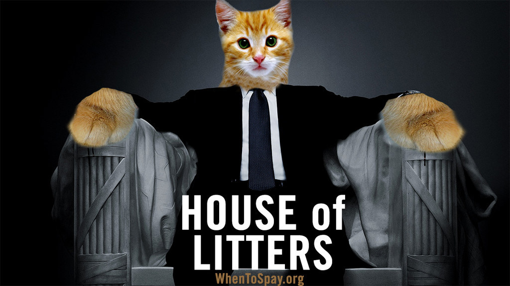 Politics aside, Spaying and Neutering is something even Frank Underwood would get behind