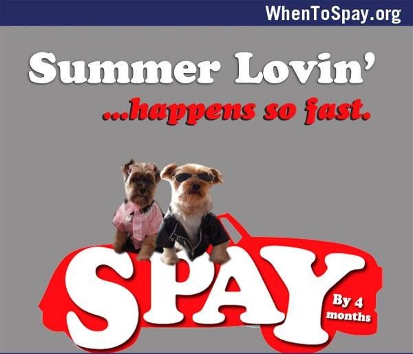 It really does happen so fast! When a male smells a female in heat he’ll be out the door like greased lightning.