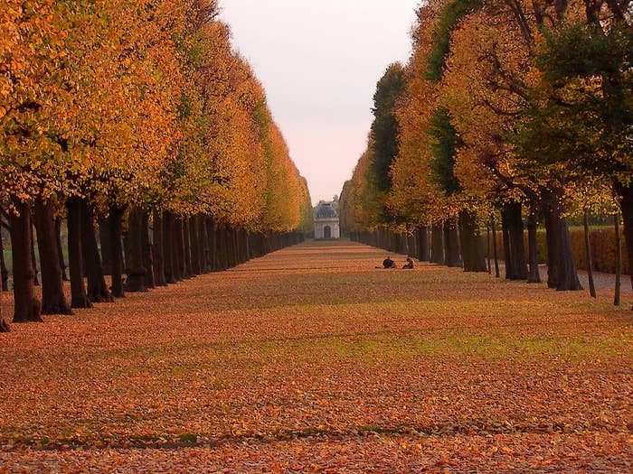34 Bilder Die Beweisen Dass Hannover Die Schonste Stadt