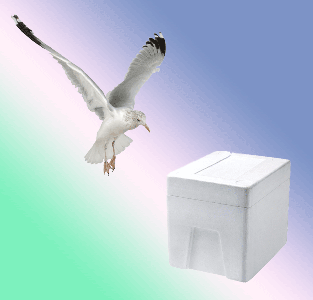 After a tropical storm wrecked his fishing boat, Raymundo Rodriguez Noyola managed to climb into a polystyrene box. He floated for eight days and survived by eating a lone seagull that landed on his box.