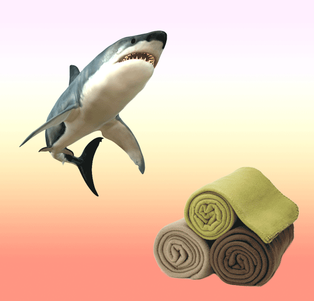 Three fishermen were lost at sea for nine months after their engines failed off the coast of Mexico. They used blankets to protect themselves from the sun and ate small fish and birds for sustenance — as well as a shark that they caught with their bare hands. When they were found by a Taiwanese trawler, they were 5,000 miles from their starting point.