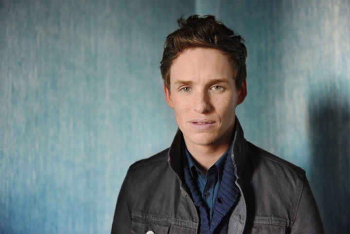 Wallpaper Fantastic Beasts And Where To Find Them, Eddie Redmayne, Best  Movies, Movies #11622