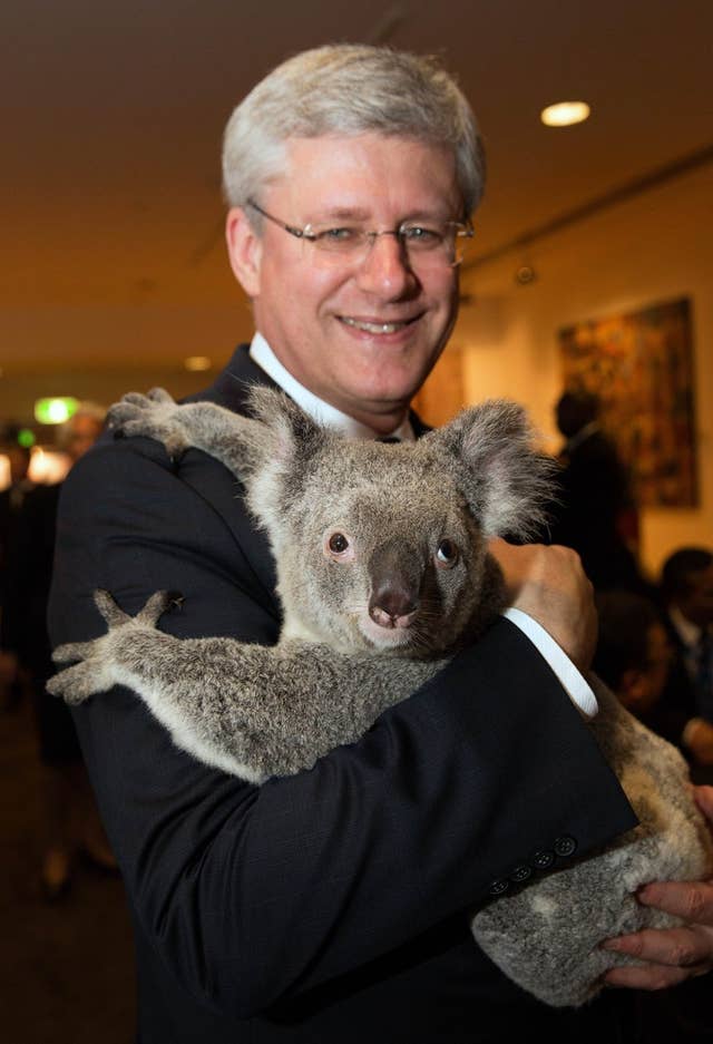 Here S A Bunch Of World Leaders Holding Koalas