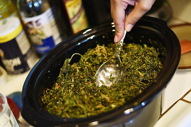 How To Make Cannabis Oil In Your Slow Cooker